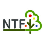 symbol-NTF